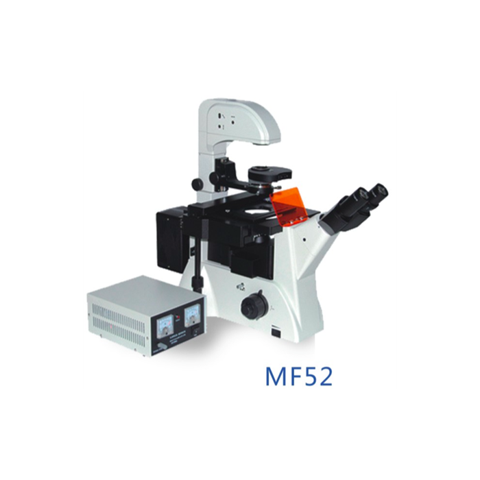 MF52 Trinoküler İnvert Floresan Faz Kontrast Mikroskop