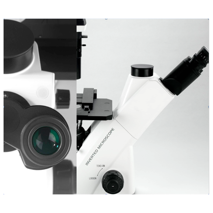 BDS 400 Trinoküler Biyolojik İnvert Faz Kontrast Mikroskop Halojen