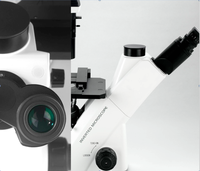 BDS 400 Trinoküler Biyolojik İnvert Faz Kontrast Mikroskop Halojen