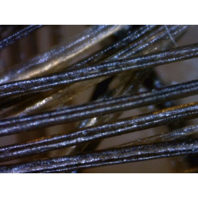 MEDLW4-HM Dino-Lite TrichoScope Polarizer Wireless