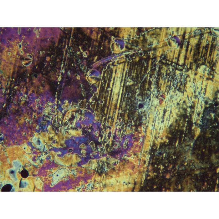 MSX2 12MP Microscope sCmos Image Eyepieces